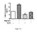 Fig. 33 - Method for regulating retinal endothelial cell viability