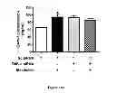 Fig. 35 - Method for regulating retinal endothelial cell viability