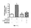 Fig. 45 - Method for regulating retinal endothelial cell viability
