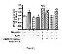 Fig. 46 - Method for regulating retinal endothelial cell viability