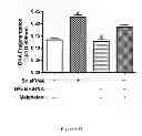 Fig. 47 - Method for regulating retinal endothelial cell viability