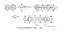 Fig. 01 - Molecular containers and methods of making and using same