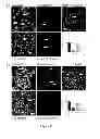 Fig. 25 - Molecular containers and methods of making and using same
