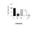 Fig. 26 - Molecular containers and methods of making and using same
