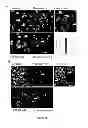 Fig. 27 - Molecular containers and methods of making and using same