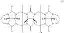 Fig. 28 - Molecular containers and methods of making and using same
