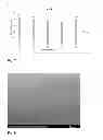 Fig. 05 - Fluoropolymer coatings
