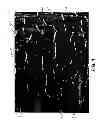 Fig. 02 - Expandable TFE copolymers, method of making, and porous, expanded articles thereof