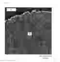 Fig. 04 - PROCESS FOR PRODUCING COMPOSITE MATERIALS