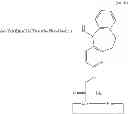 Fig. 34 - Diketopiperazine forming dipeptidyl linker