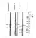 Fig. 07 - SUGAR CHAIN-CAPTURING SUBSTANCE AND USE THEREOF