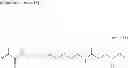 Fig. 12 - SUGAR CHAIN-CAPTURING SUBSTANCE AND USE THEREOF