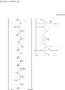 Fig. 17 - SUGAR CHAIN-CAPTURING SUBSTANCE AND USE THEREOF