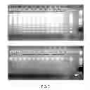 Fig. 04 - Method for isolating nucleic acids comprising the use of ethylene glycol multimers