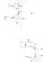 Fig. 97 - Intermediates and processes for preparing Ticagrelor