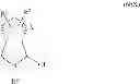 Fig. 70 - PROCESS FOR PRODUCING ESTER COMPOUND