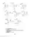 Fig. 06 - Androstane and pregnane steroids with potent allosteric GABA receptor chloride ionophore modulating properties