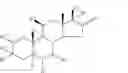 Fig. 16 - Androstane and pregnane steroids with potent allosteric GABA receptor chloride ionophore modulating properties