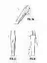 Fig. 03 - Symmetrical tip acute catheter