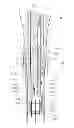 Fig. 01 - Dermatological drug injecting device