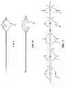 Fig. 06 - DUAL PURPOSE BALLOON CATHETERS