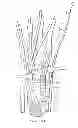 Fig. 35 - System for treating bone fractures