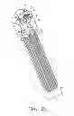 Fig. 04 - EXPANDABLE PROXIMAL REAMER