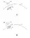 Fig. 01 - Porous Substrate with Ferromagnetic Darts