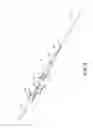 Fig. 07 - Infusion flow guidewire system