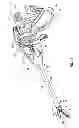 Fig. 03 - Apparatus for performing an electrosurgical procedure