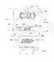 Fig. 04 - Locking screws and plates