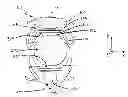 Fig. 01 - Intraocular lens