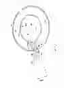 Fig. 07 - Percutaneous implantable nuclear prosthesis