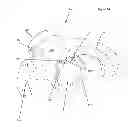 Fig. 06 - Stand-alone interbody fixation system