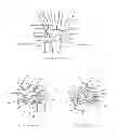 Fig. 02 - Orthopaedic implants