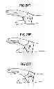 Fig. 32 - Physical activity feedback systems and methods