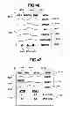 Fig. 59 - Physical activity feedback systems and methods