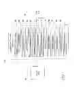 Fig. 03 - Automatically generating embroidery designs