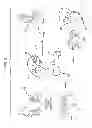 Fig. 04 - Displaying images from a robot