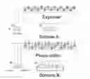 Fig. 01 - Augmented power-aware decompressor