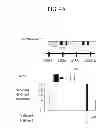 Fig. 07 - METHOD OF PREDICTING DNA 3D STRUCTURE BASED ON PRIMARY DNA SEQUENCE