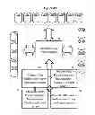 Fig. 09 - SYSTEM FOR AUTOMATING CONSUMER SHOPPING PURCHASE-DECISION