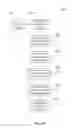 Fig. 52 - Method for Previewing Orders Placed for Image-Based Projects created through an Electronic Interface from a Mobile Application