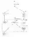 Fig. 02 - SYSTEM AND METHOD FOR AN EXCHANGE OF FINANCIAL INSTRUMENTS