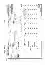 Fig. 08 - SYSTEM FOR APPLYING QUALITY CONTROL TESTS TO TRANSACTION DATASETS
