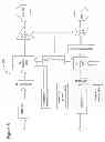 Fig. 07 - Method and apparatus to generate platform correctable TX-RX