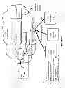 Fig. 17 - Providing profile information using servers