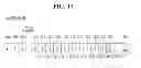 Fig. 16 - Computing system and related data management method thereof