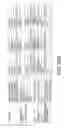 Fig. 19 - TAGGING SOCIAL MEDIA POSTINGS THAT REFERENCE A SUBJECT BASED ON THEIR CONTENT