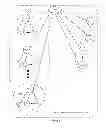 Fig. 12 - Searching social connections of a user